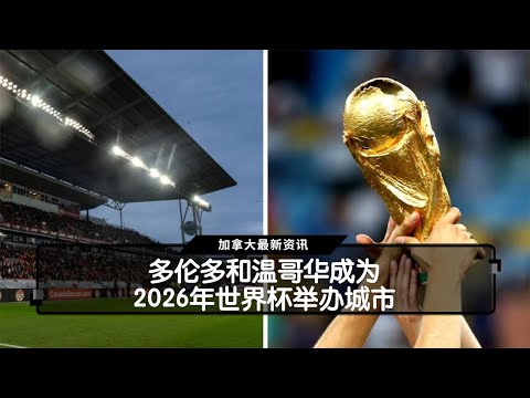 德甲头号射,手凯恩赛季,轰入,世界杯半决赛,2026世界杯,半决赛赛程,球队分析,赛事资讯