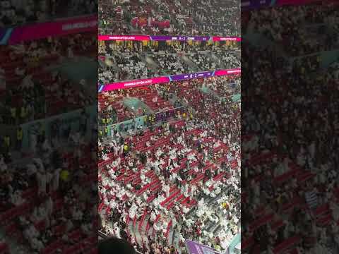 今年新秀三,得分,克內克特独,世界杯半决赛,2026世界杯,半决赛赛程,球队分析,赛事资讯