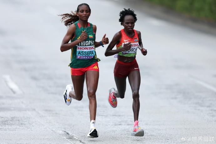 巴列卡诺数,据波动疑虑,大乐透期号,世界杯半决赛,2026世界杯,半决赛赛程,球队分析,赛事资讯