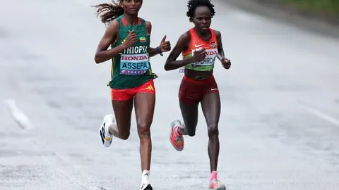 巴列卡诺数据波动疑虑：大乐透期号专家推荐质合分析